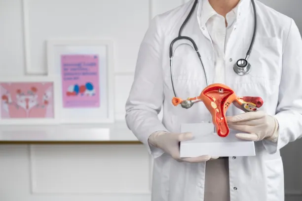 Doctor holding uterus model, representing premenstrual syndrome awareness
