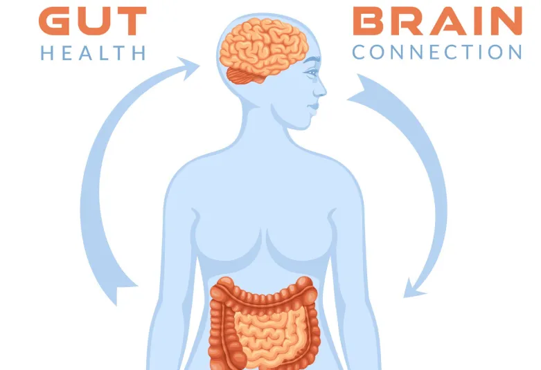 Gut health and anxiety connection article