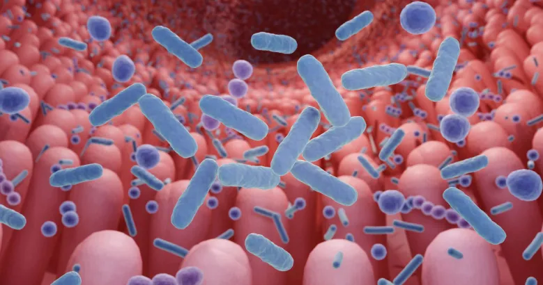 Gut microbiome imbalance signs