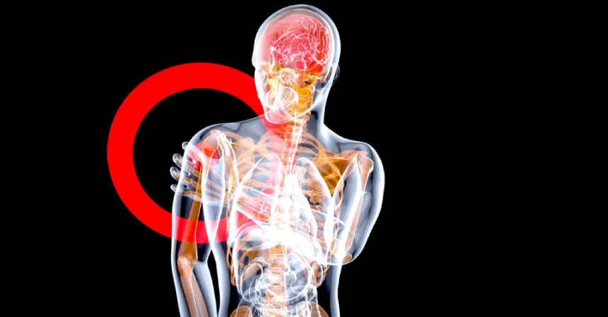 Gut brain axis explanation