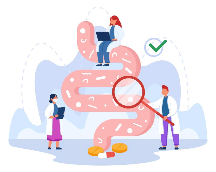 DBAD Gut Microbiome Test of Digestion