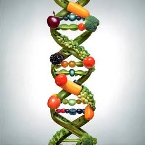 DNA double helix formed from fruits and vegetables, representing nutrition and health