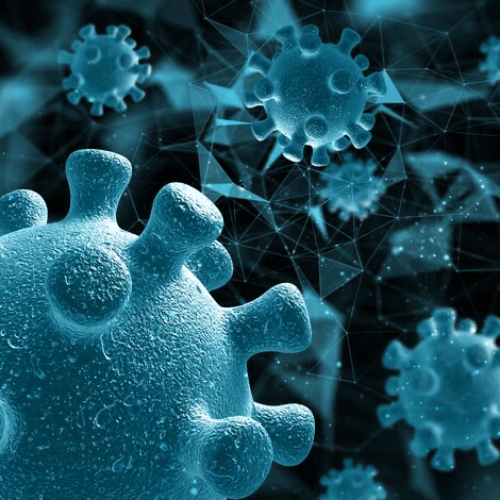 DBAD Gut Microbiome