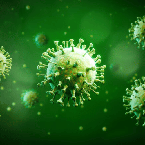 DBAD Gut Microbiome