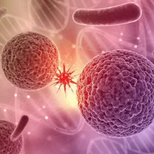 DBAD Gut Microbiome
