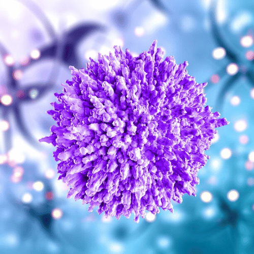 DBAD Gut Microbiome